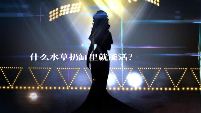 什么水草扔缸里就能活？