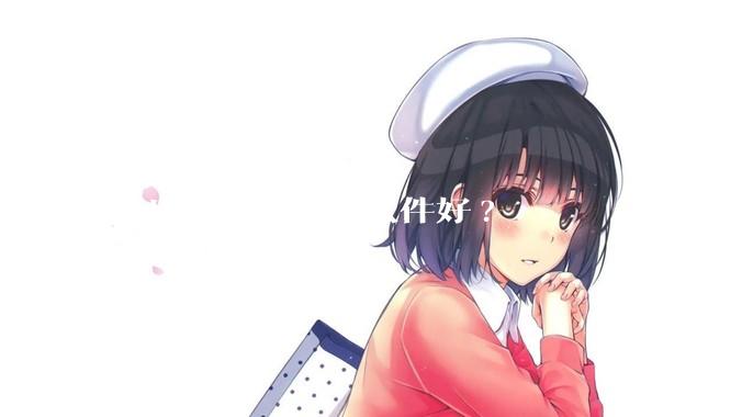 画房屋建模什么软件好?