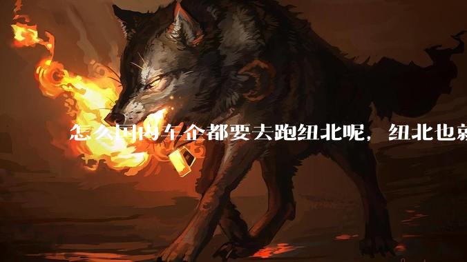 怎么国内车企都要去跑纽北呢，纽北也就是个普通赛道?